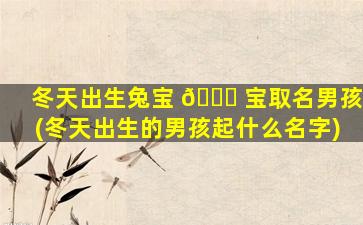 冬天出生兔宝 🐛 宝取名男孩(冬天出生的男孩起什么名字)